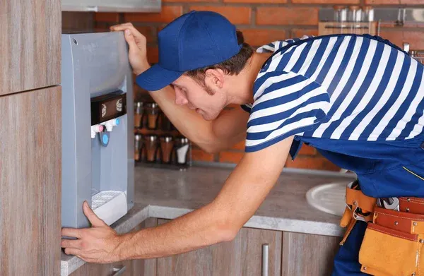 Water purifier servicing and maintenance
